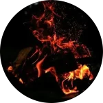 نظر pouria feyzian درباره مجموعه زیبایی دنیز
